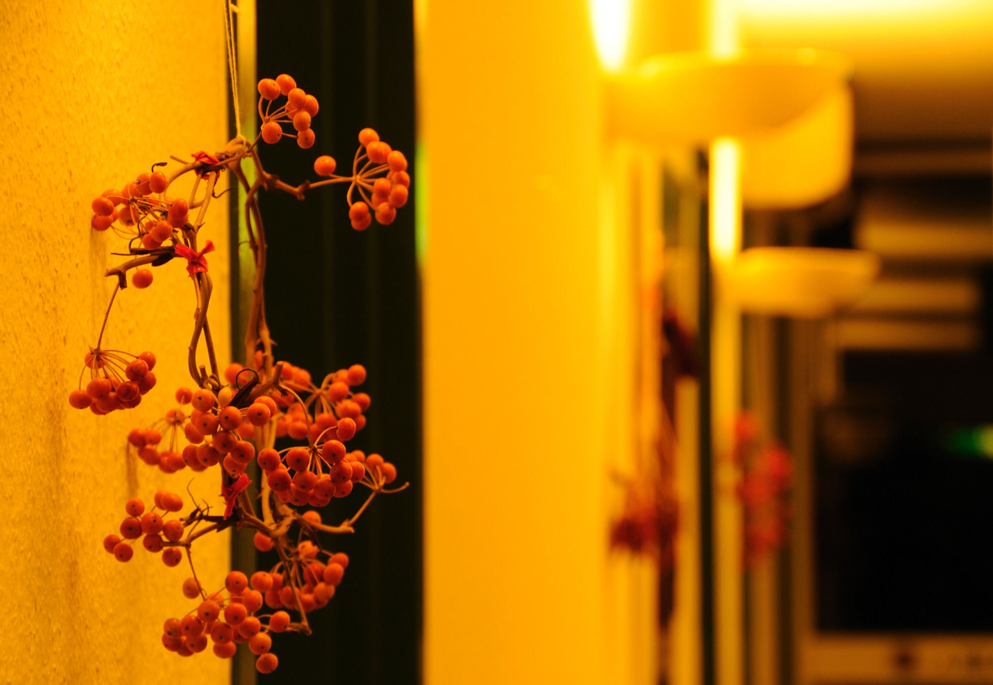 Petit Resort Hotel Alcyon Ito  Zewnętrze zdjęcie